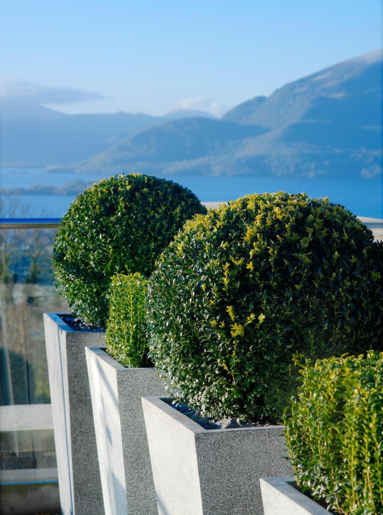 Aghadoe Heights Hotel & Spa Cill Airne Exteriör bild Boxwood